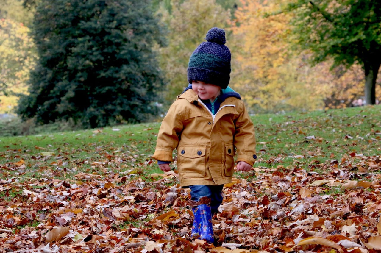 Boy wearing orange bubble jacket walking on dry fallen leaves on the ground
